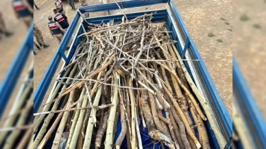 Nemrut Kalderası’nda kaçak ağaç kesimi yapan 3 kişi yakalandı