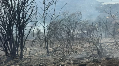 Beykoz’daki yangını çıkardığı iddia edilen kişi yakalandı! İfadesi şaşırttı