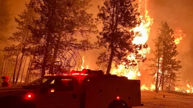 ABD'de orman yangını: 52 bin dönümden fazla alan kül oldu