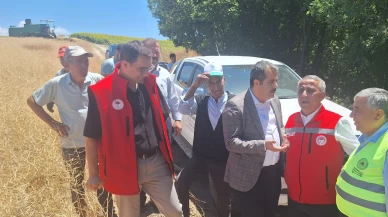 ‘Baharın İlk Arı Çiçekleri’ tarlada altına dönüştü