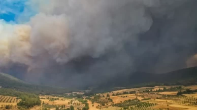 Sakarya'daki orman yangını Bilecik tarafına sıçradı: Havadan ve karadan müdahale sürüyor