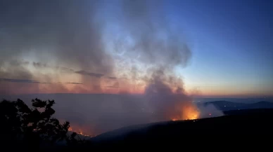 Bilecik'te anız yangını ormana sıçradı