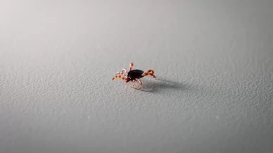 Uzmanından kritik uyarı!