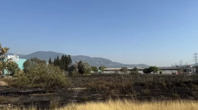 İzmir'de otluk alanda çıkan yangın kontrol altına alındı