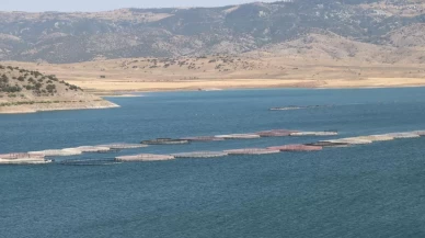 Yozgat'tan somon ve alabalık ihracatı