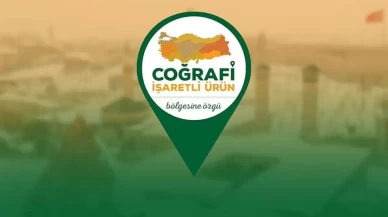 Mut zeytinyağı ve Kırkağaç kavunu coğrafi işaret tescili aldı