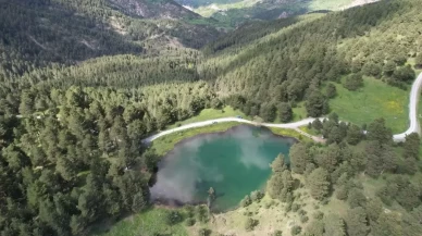 Gümüşhane'de ormanlık alanlara girişler yasaklandı