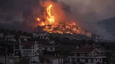 Atina'ya yaklaşık 60 kilometre uzaktaki Oropos'ta orman yangını çıktı