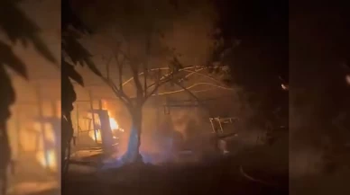 Yalova'da tarım işletmesinde yangın: 1 itfaiyeci yaralandı, 1'i de dumandan etkilendi