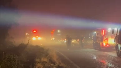 Alevler sınırda! Yangın tehlikesi nedeniyle mahalle boşaltıldı