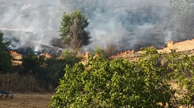 Tekirdağ'da anız yangını ormanlık alana sıçradı