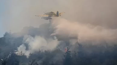 DMM açıkladı: 84 yangın noktasında eş zamanlı ve güçlü müdahale