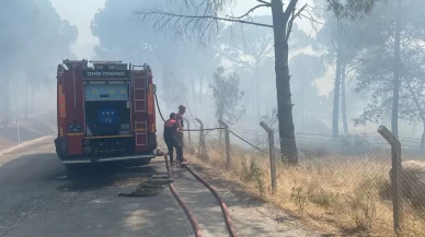 Anız yangını ormana sıçradı: 16 hektar kül oldu