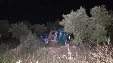 Biber yüklü kamyon zeytinliğe uçtu: 1 yaralı