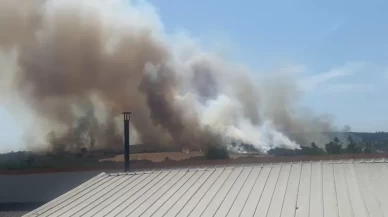 Bursa’da orman yangını: Tarlada başladı ormanlık alana sıçradı