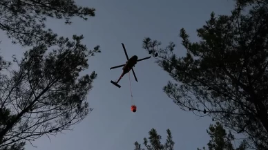 Çanakkale'de tarım alanında çıkan yangına müdahale ediliyor