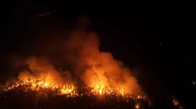 Karabük'teki orman yangınında 60 saat geride kaldı