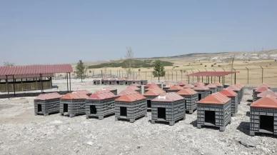 Kütahya’da sahipsiz hayvanlar için doğal yaşam alanı tamamlandı