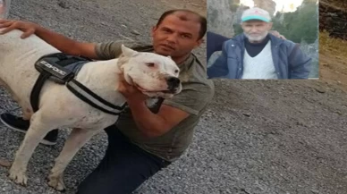 Baba, tartıştığı oğlunu bıçaklayarak öldürdü!