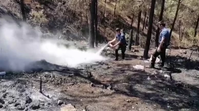 Geyve'de 5 gün sonra aynı nokta yeniden alevlendi: Yangına ilk müdahaleyi polisler yaptı