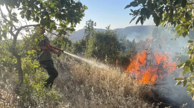 Gabar Dağı'ndaki orman yangını kontrol altına alındı