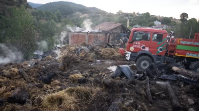 Mudurnu'da çıkan yangın kontrol altına alındı