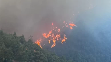 Bursa'nın ciğerleri yanıyor!