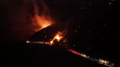 Hatay'daki orman yangınına müdahale sürüyor
