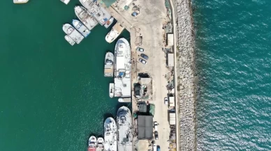 İzmir'de deniz kirliliği balığı vurdu