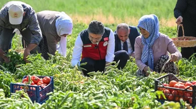 Bakan Yumaklı hasada katıldı!
