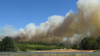Çanakkale'de tarım arazisinde yangın