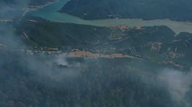 Sinop’ta orman yangını! Köy tahliye edildi, ekipler yeni yollar açıyor