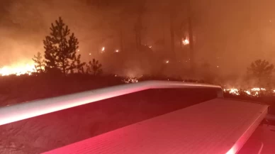 Yatağan'da orman yangını