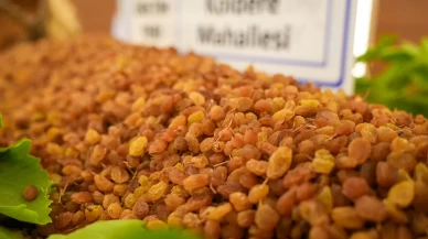 Altın değerinde! Yılın ilk kuru üzümü borsada rekor fiyatla satıldı