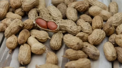 Yer fıstığı kaç kalori?