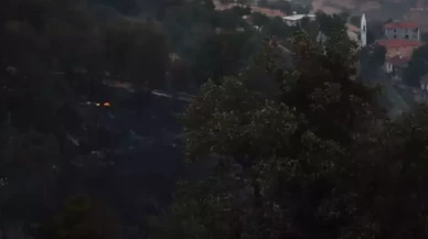 Malatya'daki orman yangını söndürüldü