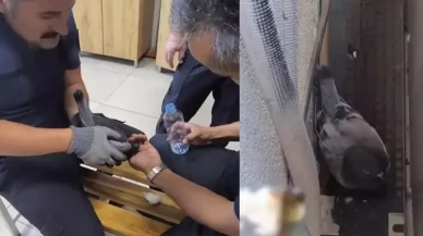Klima boşluğunda mahsur kalan güvercini itfaiye kurtardı