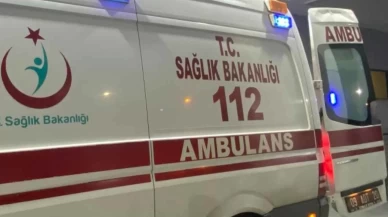 Aydın'da akıl almaz olay! Komşusunu domuz sanıp vurdu
