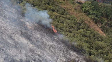 Kocaeli'de ağaçlık ve makilik alanda yangın