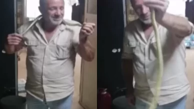 2 metrelik yılana "kanka" dedi, boynuna doladı