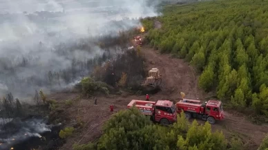 Osmaniye’de çıkan orman yangını söndürüldü