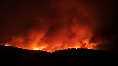 Çanakkale'de alevler geceyi aydınlattı, o anlar dronla görüntülendi
