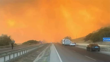 Bursa-Yenişehir yolu orman yangını nedeniyle kapatıldı