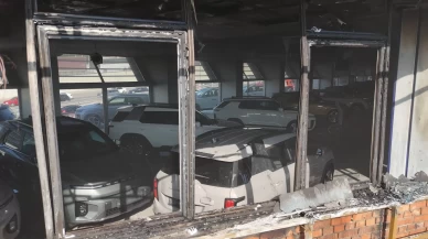 Pendik'te arazi yangını: Milyonluk sıfır araçlar son anda kurtarıldı