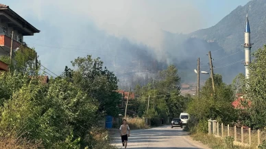 Bartın'da 4 ayrı noktada orman yangını!