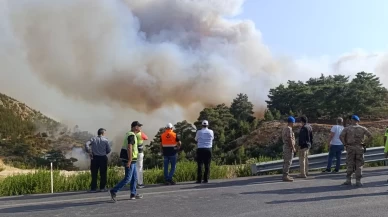 Mersin'deki orman yangını: 5 ilden takviye geldi ekiplerin müdahalesi sürüyor