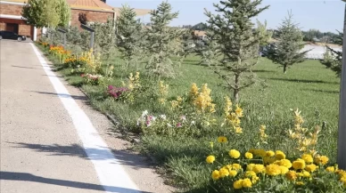 Malazgirt Zaferi’nin 954. yılına 1071 fidanla kutlama