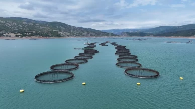 Tokat'tan 29 ülkeye balık ihraç edildi