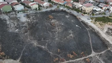 İzmir’de yanan alanlar dronla görüntülendi