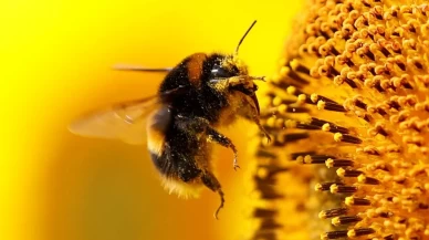 Nükleer silah üretim tesisinde bulundu!